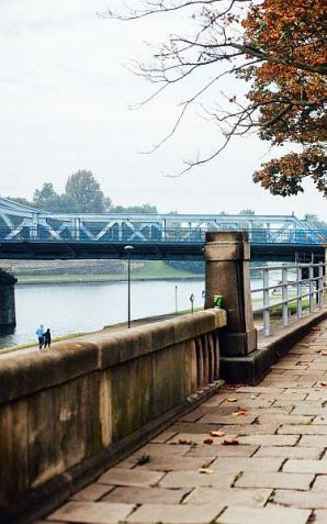 [VIDEO] Jesienne porządki w Krakowie. Zapakuj liście i gałęzie do worków
