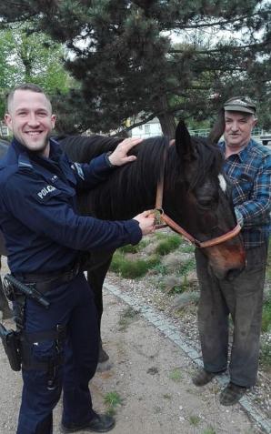 Policjanci ujarzmili biegającego po terenie miasta konia