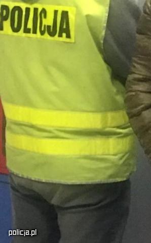 [VIDEO] Żorscy i Katowiccy policjanci zlikwidowali domową plantację konopi