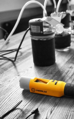 Z dożywotnim zakazem i na podwójnym gazie, 26-latek wpadł podczas kontroli drogowej