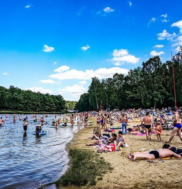 Rekultywacja Arturówka otrzymała prestiżową nagrodę